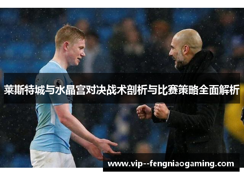 莱斯特城与水晶宫对决战术剖析与比赛策略全面解析