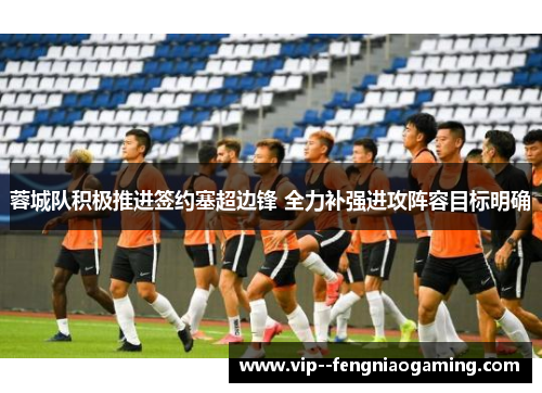 蓉城队积极推进签约塞超边锋 全力补强进攻阵容目标明确