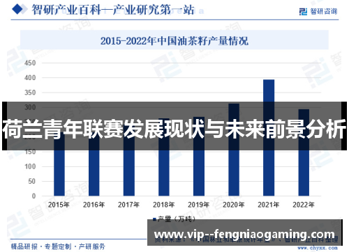 荷兰青年联赛发展现状与未来前景分析 荷兰青年联赛发展现状与未来前景分析