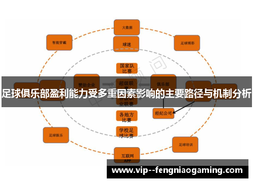 足球俱乐部盈利能力受多重因素影响的主要路径与机制分析 足球俱乐部盈利能力受多重因素影响的主要路径与机制分析