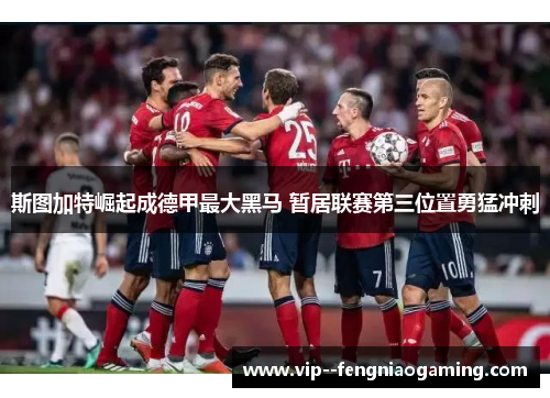 斯图加特崛起成德甲最大黑马 暂居联赛第三位置勇猛冲刺 斯图加特崛起成德甲最大黑马 暂居联赛第三位置勇猛冲刺