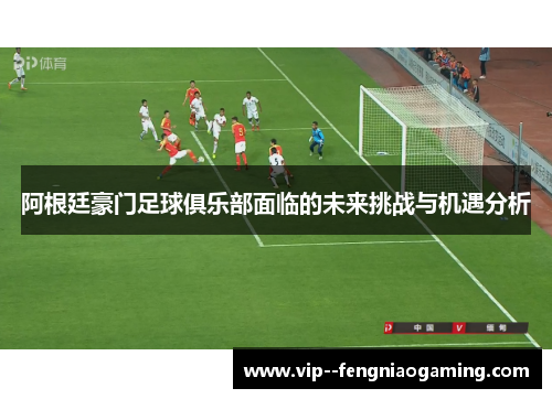 阿根廷豪门足球俱乐部面临的未来挑战与机遇分析