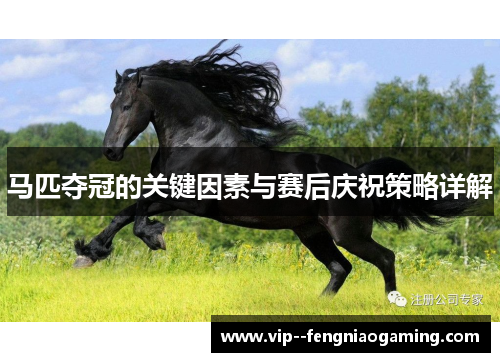 马匹夺冠的关键因素与赛后庆祝策略详解