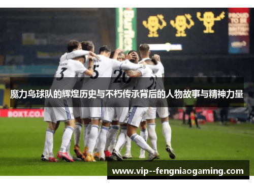 魔力鸟球队的辉煌历史与不朽传承背后的人物故事与精神力量 魔力鸟球队的辉煌历史与不朽传承背后的人物故事与精神力量