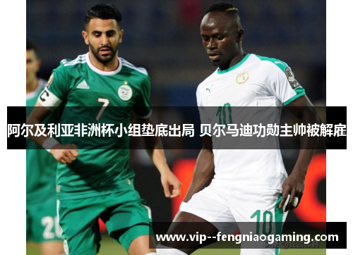 阿尔及利亚非洲杯小组垫底出局 贝尔马迪功勋主帅被解雇